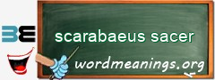 WordMeaning blackboard for scarabaeus sacer